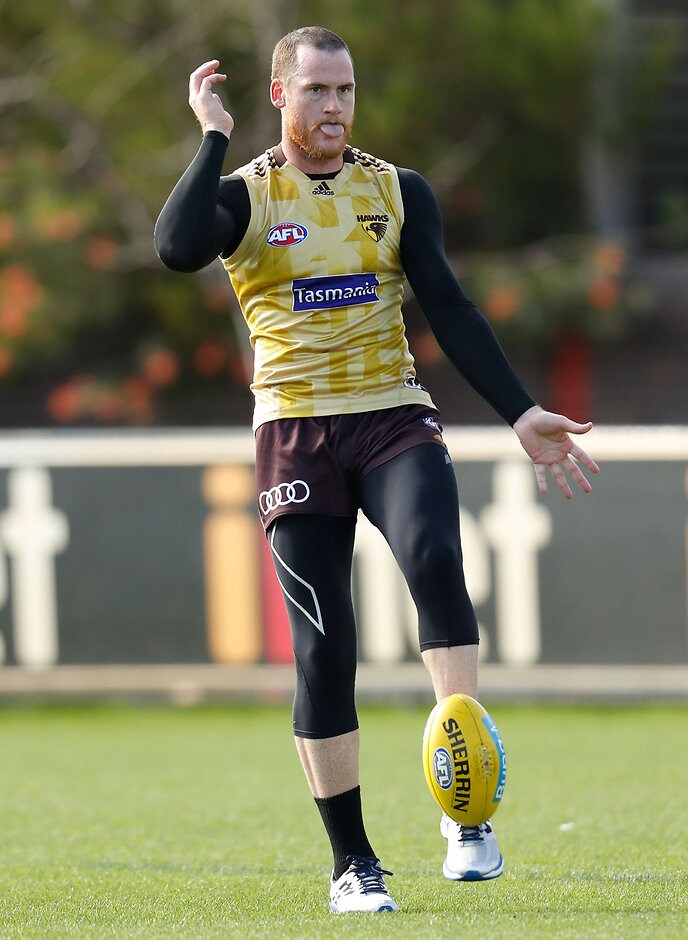 AFL 2016 Training - Hawthorn 050516 MELBOURNE, AUSTRALIA - MAY 5: Jarryd Roughead of the Hawks in action during the Hawthorn Hawks training session at the Ricoh Centre in Melbourne on May 5, 2016. (Photo by Michael Willson/AFL Media)